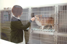 犬舎・猫舎